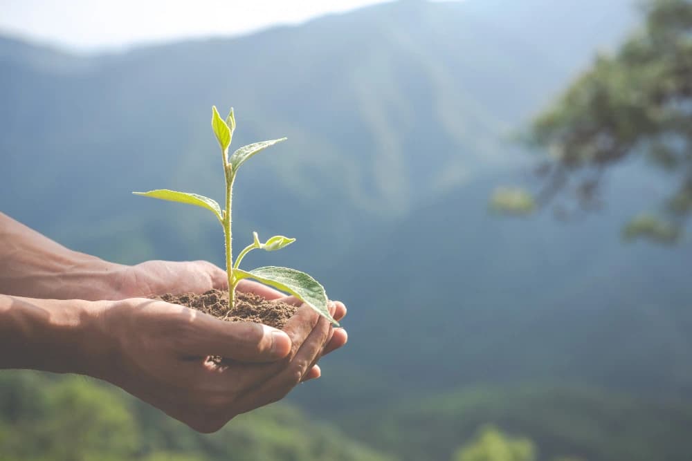 Project Greenteam - Laravel
