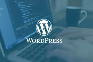 Vulnerabilidades de WordPress